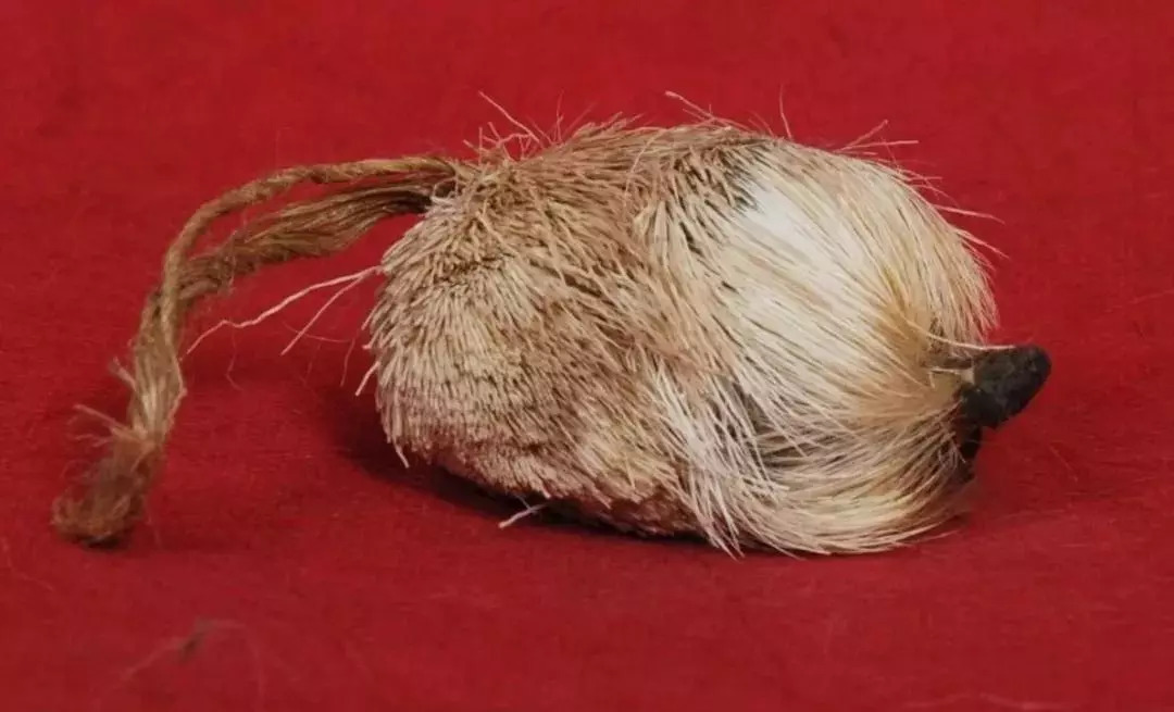 ?不想胎停育远离这些初次有孕必看