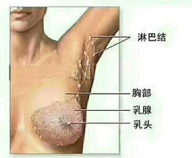 哺乳期乳腺炎症状和预防及治疗方法