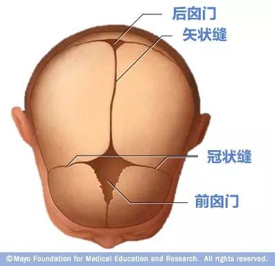 宝宝的囟门很重要，出现这3种异常要当心！