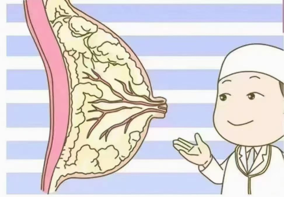 6步疏通奶结，告别乳房胀痛，月嫂必学！