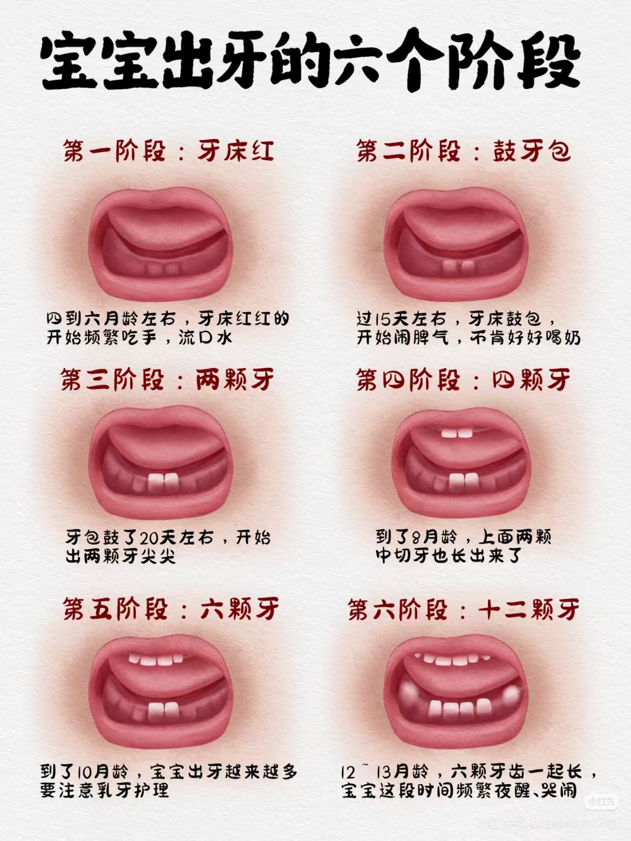 宝宝出牙的六个阶段
